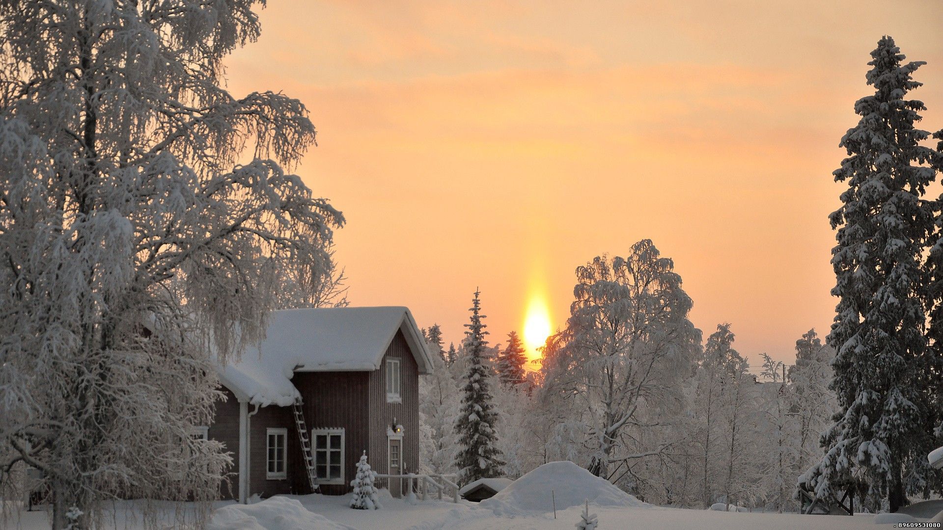 Зимний лес с домом, красота!